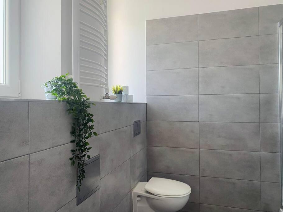 Large 89m2 Apartment, 3 Bedrooms And 2 Bathrooms Apartment